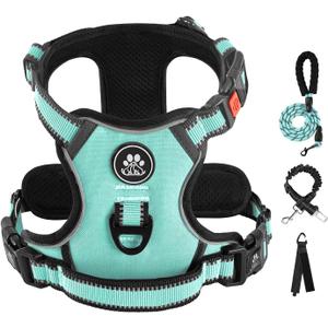 IVY&LANE No Pull Dog Harness with Leash Set, Reflective No Choke Pet Vest,Adjustable Oxford Dog Vest Harness with Easy Control Handle for Medium Dogs (Turquoise,M)