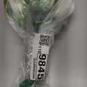 Buart White&Green Tulip Flowers Artificial Luxury Big Tulip Valentine's Day Mother's Day Easter Home Kitchen Wedding Decorations(11pcs)