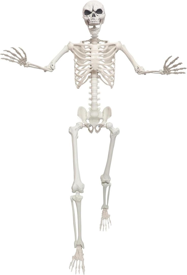 Lodou 5.4ft/165cm Life Size Skeleton,Giant Skeleton Full Body Realistic Bones with Movable Joints for Halloween Decorations Outdoor (Gray, 5.4Ft) Lodou 5.4ft/165cm Life Size Skeleton,Giant Skeleton Full Body Realistic Bones with Movable Joints for Halloween Decorations Outdoor (Gray, 5.4Ft)