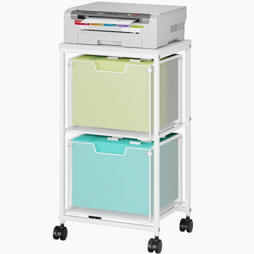 Rolling File Cart with 2 Storage Drawers,Under Desk Storage Cart
