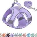 AIITLE Dog Harness and Leash Set - Ultra-Comfortable XXS-XL Vest with Strong Magic Tape & Glow-in-Dark Reflective Strips, Chafe-Free for Teddy, Schnauzer (Purple, M) (M(Chest: 15 - 17"))