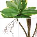 Artificial Tree 2.95Ft Faux Agave Plant Fake Tropical Yucca Palm Tree with 6 Heads in Pot Fake Dracaena Plants Tree for Home Decor Modern Office House Decoration Housewarming Gift Green