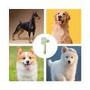 Pet Hair Removal Comb, Flea Brush with Release Button for Cat Dog, De-Shedding Cat/Dog Hair Comb, With Long & Short Stainless Steel Metal Teeth for Shedding(Green)