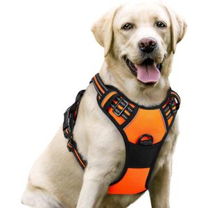 rabbitgoo Dog Harness No Pull with 2 Leash Clips, Adjustable Soft Padded, Reflective Oxford No Choke Pet Vest with Easy Control Handle for Large Dogs, Orange, L