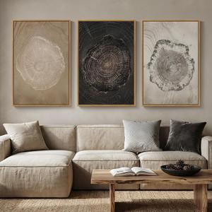 3 Piece Framed Neutral Tree Ring Wall Art for Living Room, Large Vintage Nature Wood Stump Canvas Artwork for Walls, Modern Farmhouse Paintings Prints for Bedroom Dining Room Wall Decor 24x36 Inch