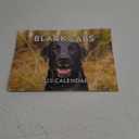 Black Lab Calendar 2025 Labrador Monthly Wall Calender 12 Month | American Made In The USA