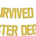 I Survived My Master Degree Banner - Masters Graduation Decorations - Mastered It Graduation Decorations Gold
