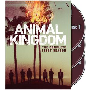 Animal Kingdom: Complete First Season S1 (DVD)