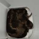 STfantasy Finger Wave Wig 1920s Retro Mid Length Long Curly Synthetic Hair for Women Cosplay Halloween Party Costume (Dark Brown)