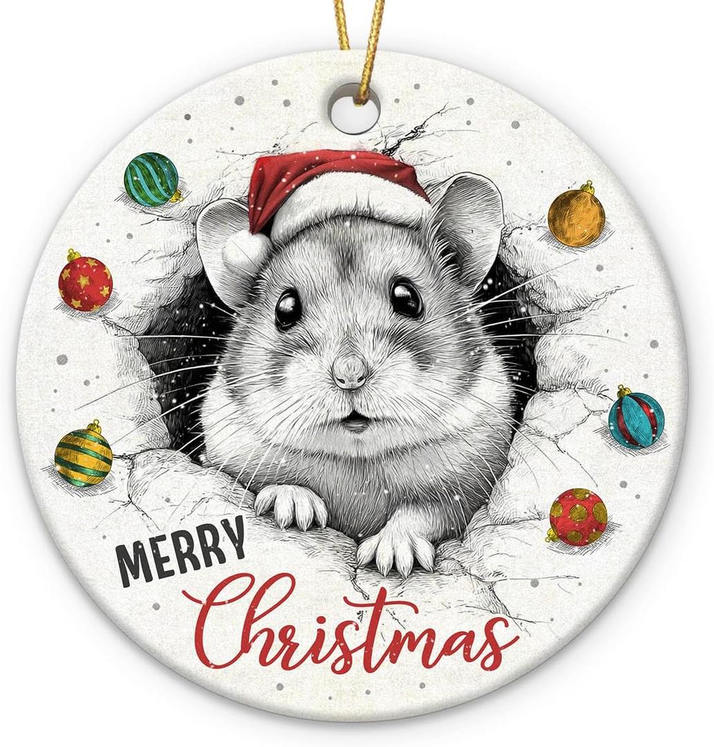 4 x Hamster Ornaments for Christmas Tree Decorations 2025, Unique Animal Lover Gifts for Women Men, Ceramic Ornaments Gift for Hamster Lovers, Xmas Gifts for Christmas Hanging Decorations