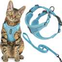 Voyager Escape Proof Cat Harness and Leash Set with Reflective Stitching, Neoprene Handle 5ft - Supports Small, Medium and Large Cats, Kittens for Walking by Best Pet Supplies - Baby Blue, XS (XS (Chest: 13 - 16"))