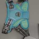 PHOEPET No Pull Dog Harness, Unique Colors Reflective Adjustable Dog Vest, with Soft Training Handle Metal Clips for Small Medium Large Dogs (Mint Green Base & Grey Straps,M)