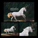 AODELAN Camera Remote Wireless Shutter Release Take Photos and Videos for Sony A7 III, A7R III, A7R IV, A7C, A6100, A6400, RX100 VII, RX0 II, A9, A9 II