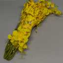 Exotic dried flower bouquet Realistic Yellow Orchid Stems, Artificial Plants, Suitable For Vase Bouquet Fillers, Indoor And Outdoor, Home Flower Decoration Arrangements Porch decoration, bedroom decor