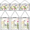 Treela 6 Pcs Pressed Flower Glass Picture Frames 5 x 7 Inch Black Herbarium Botanical Brass Hanging Double Glass Floating Photo Frame Clear Horizontal Vertical Frames with Chain for Gallery Vintage