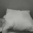 MIULEE 20x20 Pillow Inserts,Set of 2 100% Virgin Microfiber with Cotton Cover Throw Pillows for Couch Sofa and Bed