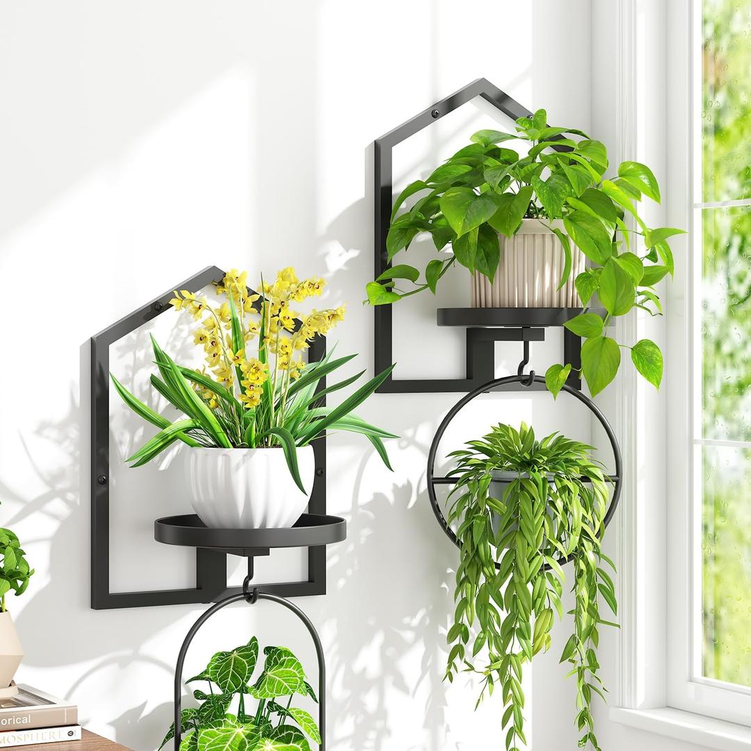 iDavosic.ly Wall Plant Picture Frame Holder Set of 2 for Indoor, Metal Stand with Hanging Hooks, Floating Flower Display Home Decor, Space Saving & Easy to Assemble (Pots/Chains/Plants Not Included) (House - 2 Pack, Black)