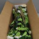 Artificial Camellia Tree 3.3 FT 2 Pack, Christmas Decor Fake Camellia Plant with Blooming Flowers&Natural Wood Trunk, Greenery Faux Potted Plant for Home Office Winter Indoor (White, 3.3FT)