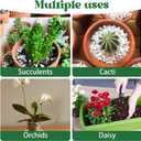 2 x Organic Perlite for Plants,2 Quart Premium Horticultural Perlite for Indoor and Outdoor Plants,Enhance The Ventilation and Drainage of The Soil,Optimal for Potting Mixes