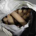 50 Pcs Mini Rolling Pin, 5.5 Inches Wooden Rolling Pins, Mini Rolling Pins Bulk, Mini Wood Rolling Pin for Home Kitchen Fondant Pastry Pizza Baking and Crafting