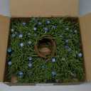 Giegxin 6 Pcs Christmas Taper Candle Rings Wreath with Blue Berry 2" Inner Diameter Mini Artificial Juniper Candle Ring Holder for Christmas Wedding Winter Home Table Centerpiece Xmas Holiday Decor