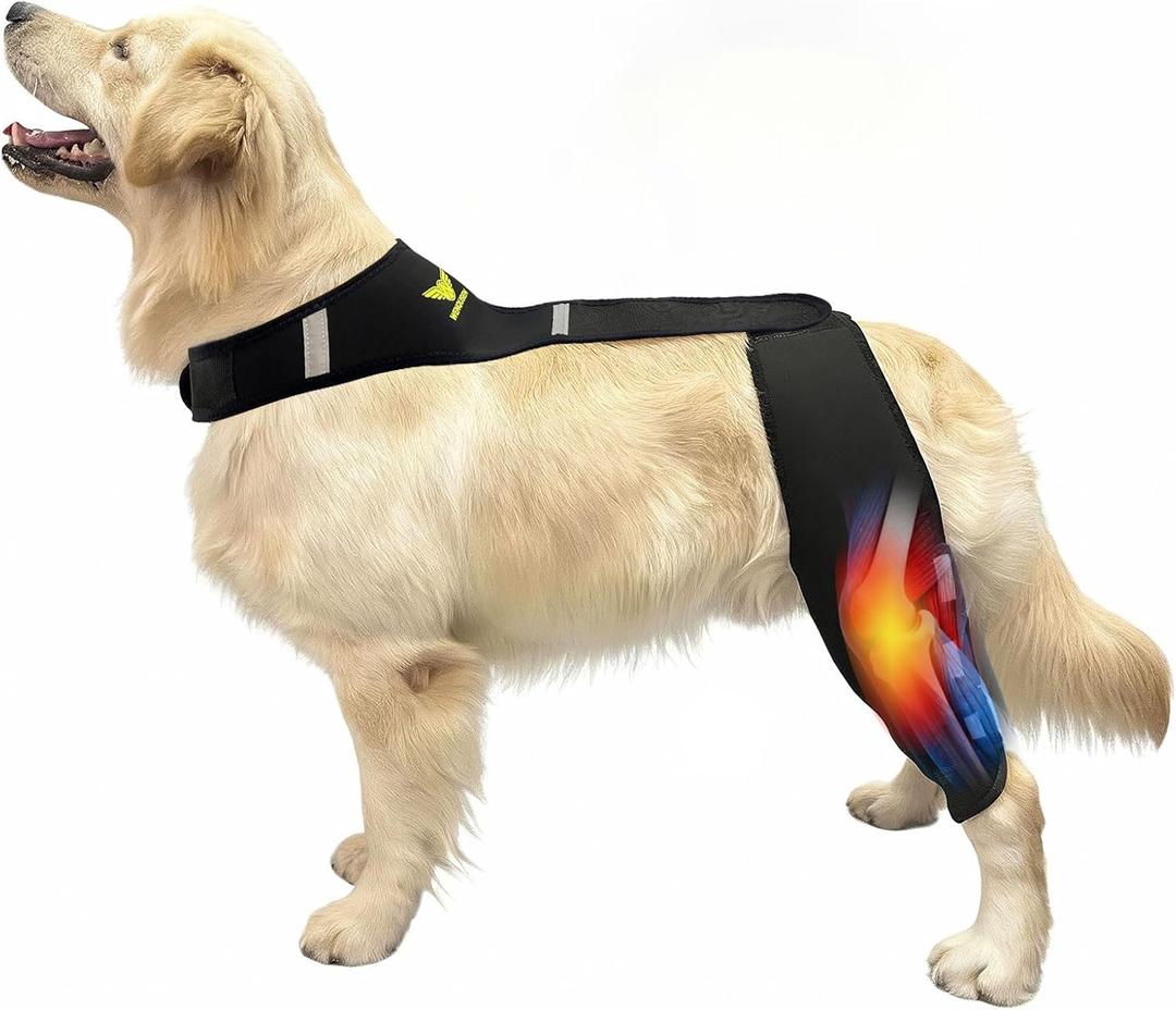 Dog Knee Brace for Torn ACL Hind Leg - Professional Recovery Support, Patented Double Strap System & Flexible Splints Stabilize Joint, Promotes Healing & Mobility (M) 20-40Lb