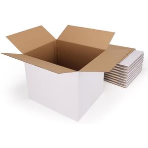 Hoikwo 10 Packs 12x10x10 Large Thin Shipping Boxes, White Big Corrugated Cardboard Box Set for Small Business for Packaging Mailing Lightweight items