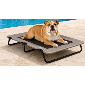 Pet Gear Lifestyle Pet Cot Elevated Bed, 40 Inch, Wheat | No Assembly Required, Premium Tear Resistant Cooling Mesh, Indoor & Outdoor, Lightweight & Portable