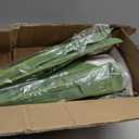 Alupssuc Artificial Dracaena Fake Tree 4FT, White High Pot Artificial Plants Indoor&Outdoor, Fake Plants for Office/Home/Living Room Potted Decoration, 4ft