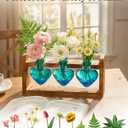 Nacome Plant Terrarium Propagation Stations: Mothers Day Gifts for Mom Plant Lovers Women Wife Daughter - 3 Bulb Glass Vases with Wooden Stand Tabletop for Hydroponics Home Garden Decor