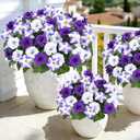 MARTINE MALL Artificial Flowers for Outdoors, 2 Potted Realistic Fake Outdoor Flowers, UV Resistant Silk Petunia Flower for Outside Look Real Faux Flower Plants in Pot for Porch Garden Decor, 20''