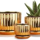 Ton Sin Gold Plant Pots,4.1+5.1+6.5 Inch Ceramic Succulent Planters Set of 3 Mini Indoor Flower Pot with Drainage,Handmade Decorative Ceramic Orchid and Herb Pots(Gold)