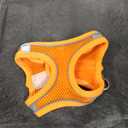 Dog Harness For Extra Small Dogs, Orange Jacket For Leashes XXS