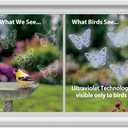 WindowAlert Butterfly Anti-Collision Decal 4 Pack - UV-Reflective Window Decal to Protect Wild Birds from Glass Collisions - Made in The USA