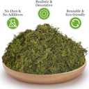 Riare 2.6LBS Artificial Fake Moss for Fake Plants Indoor- Premium Faux Craft Moss for Potted Plant, Fresh Forest Green for Hamsters Micro-Landscape Terrariums Centerpieces Decor