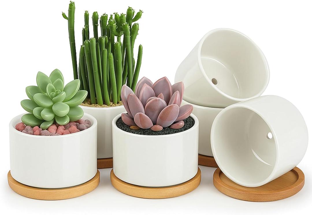 ZOUTOG Ceramic Succulent Pots,3.6 Inch Plant Pots,Succulent Planters with Drainage Hole & Bamboo Tray for Indoor Plants,White Small Flower Planters for Home,Office,Desk (6 Pack)