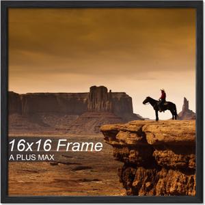 A PLUS MAX 16x16 Picture Frame Black Light Weight Wall Mount