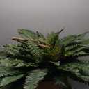 Nearly Natural 6788 Double Giant Boston Fern Hanging Basket,Green