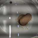 GoodCook Healthy Ceramic Titanium-Infused 11 Jumbo Cooker with Lid, Light Blue  Induction Cookware, Nonstick Cooking Pan, Food Cooker for Stir-Fry, Vegetables, Chicken, Steak, Sauces