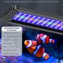 Pawfly 48W Saltwater Aquarium Light for 48" to 54" Fish Tanks Dimmable LED Reef Light for Coral Extendable Marine Fish Tank Light with Full Spectrum D/N Mode Timer Auto On/Off Adjustable Brightness