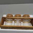 Pechaut Propagation Stations, Plant Terrarium for Indoor Hydroponic Decor, Glass planters for Fresh Cuttings, Unique Birthday Gifts for Women & Mom, Home/Office Decor