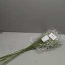 24.8-inch Artificial Baby's Breath Bulk 10PCS - Fake Gypsophila Flowers with Bendable Stems for Weddings, White Party Decorations, Home & Outdoor Floral Arrangements (White)