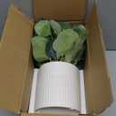 Artificial Plants Indoor with Pot, 11.8" Faux Eucalyptus Stems in Ceramic Vase for Table, Desk, Shelf, Small Fake Potted Plants Eucalyptus Leaves for Centerpieces, Living Room, Bathroom, Bedroom