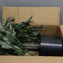 6FT Faux Olive Tree Indoor Realistic Artificial Olive Tree for Home, Office Decor with Natural Trunk Design Perfect Housewarming Gift