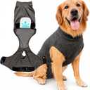 Dog Recovery Suit After Surgery - for Spay Neuter - with Washable Pads - Dog Onesie (Grey XX-Large)