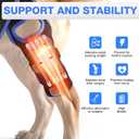 RUXAN Dog Knee Brace for Torn ACL & Hind Leg Support, Keeps The Joint Warm and Stable, Dogs Rear Leg Wrap Harness Set for Leg Wound Care and Lick Prevention - XL