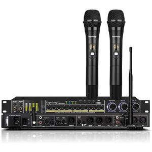 Depusheng REV3900 KTV Pre-Effector Household Reverberator Karaoke Anti-Howling Audio Processor USB Bluetooth Device with Microphone