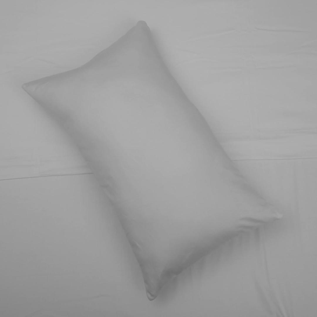 100% Egyptian Cotton Standard Pillow sham Set of 2 for Sleeping, Long-Staple Combed Cotton Breathable, Soft Sateen Weave Bed Pillow (Silver Grey)