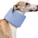 Dog Neck Brace for Pet After Surgery Recovery Adjustable Breathable Neck Cervical ConeDog Cone Collar Recovery Head Cone for Small Medium Dogs Puppies Kittens with Spinal IVDD Lssues (XL, Blue)