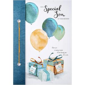 Hallmark Birthday Card for Son - Classic Illustrated Design